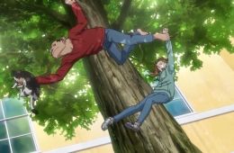 Инцидент Дарвина