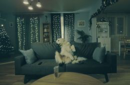 Догументалки