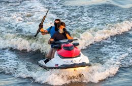 Мухтар. Он вернулся