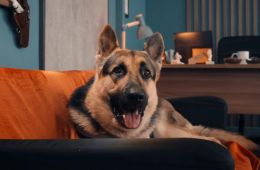 Мухтар. Он вернулся