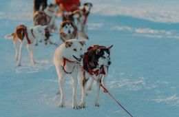 Снежная восьмерка