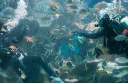 Северная станция