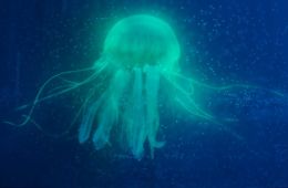 Северная станция