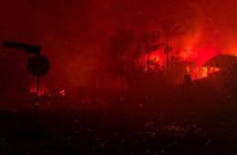 Огненный шторм в Лос-Анджелесе – Внутри инферно