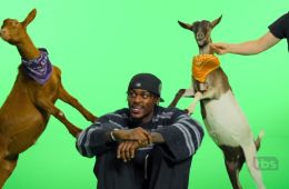 На грани фола с Энтони Дэвисом