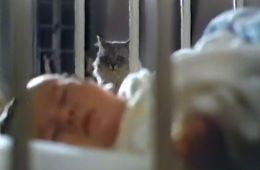 Преследование