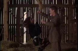 Безжалостная попутчица