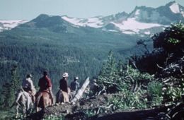 Сасквач: Легенда о Бигфуте