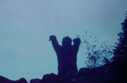 Сасквач: Легенда о Бигфуте