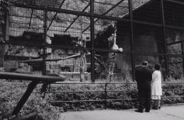 Сжигатель трупов