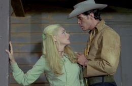 Чёрная звезда