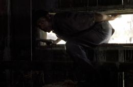 Украсть Кэнди