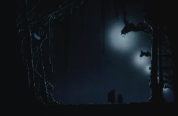 Яйцо ангела