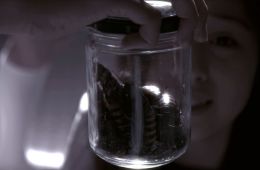 Задница зомби: Туалет живых мертвецов