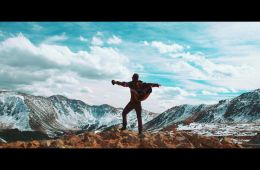 Собака дзен