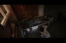 Леди в доме