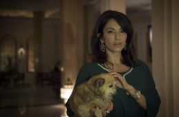 Ночной администратор