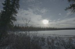 Кадр