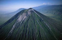 Пурпурные крылья: Тайна фламинго