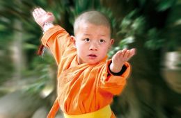 Маленький кунгфуист