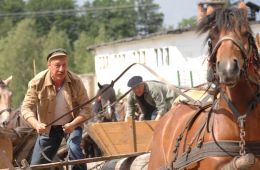 Ранчо Вильковые