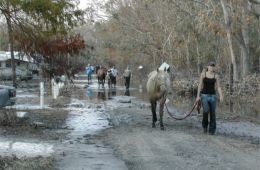 Застряв в Катрине