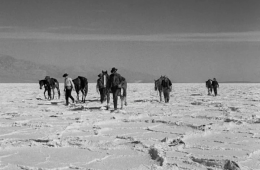 Желтое небо