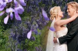 Свадебный марш 6: Скреплено поцелуем