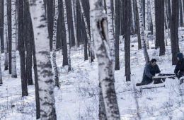 Анима