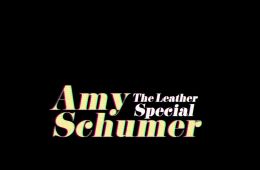 Эми Шумер: Кожаный концерт