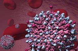 Почему вирусы убивают?