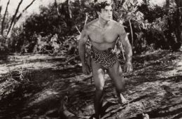 Тарзан: Король джунглей с серебряным экраном