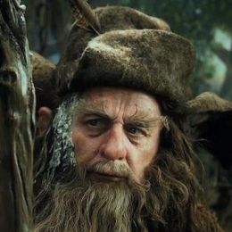 Радагаст 320