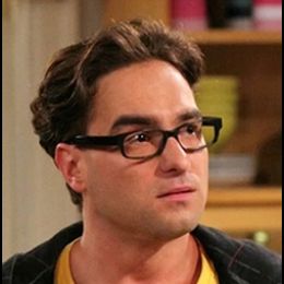 Леонард Хофстедтер 307