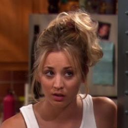 Пенни Хофстедтер 269