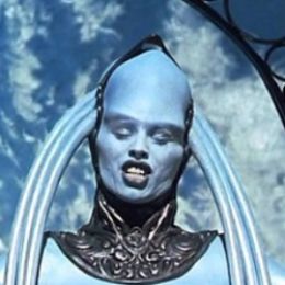 Дива Плавалагуна 310