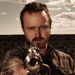 Джесси Пинкман 335