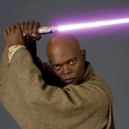 Мейс Винду 351