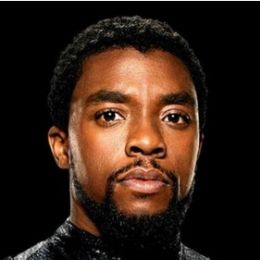 Чёрная Пантера 2833