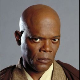 Мейс Винду 236