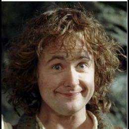 Перегрин Тук 115