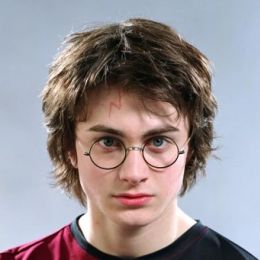 Гарри Поттер 96