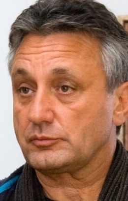 Владимир Алеников