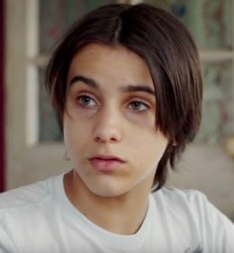 Александр Вальнер