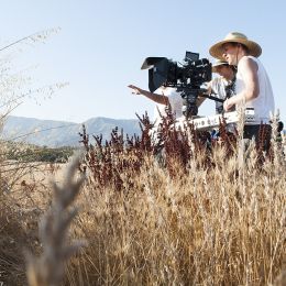 Дэниэл Ринк