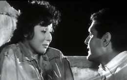 Lobna Abdel Aziz