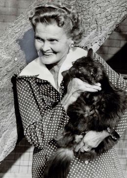 Джой Адамсон