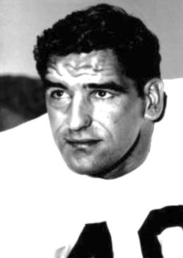 Эл Кармайкл