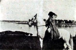 Франк Холл  Крейн