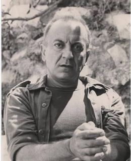 Рэми Данон
